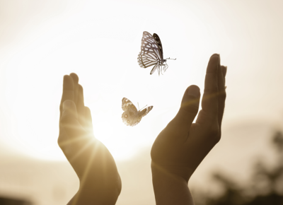 Buurtzorg (Bergen op Zoom)